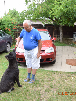Zolt�n, 68 �ves f�rfi, Kassa